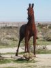 PICTURES/Borrega Springs Sculptures - Horses, Sheep & Camel/t_IMG_8860.JPG